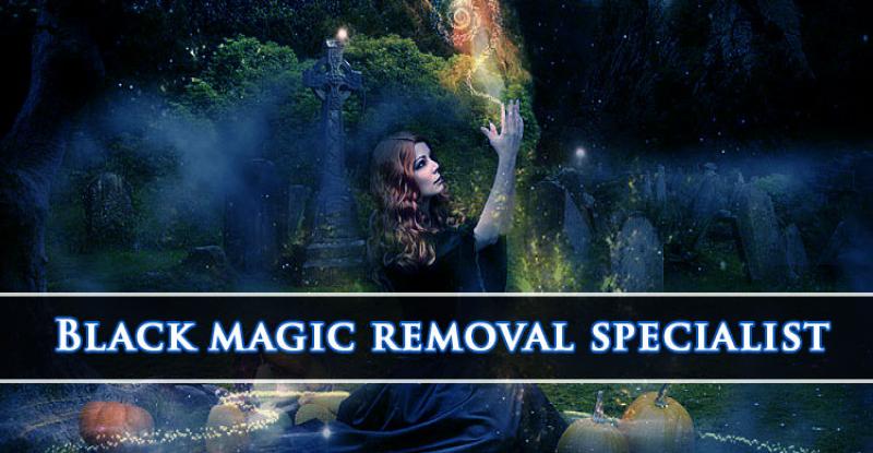 Black Magic Removal Specialist Astrologer Pandit N K Sharma +91-9582627501 Black Magic Removal Specialist Astrologer Pandit N K Sharma +91-9582627501