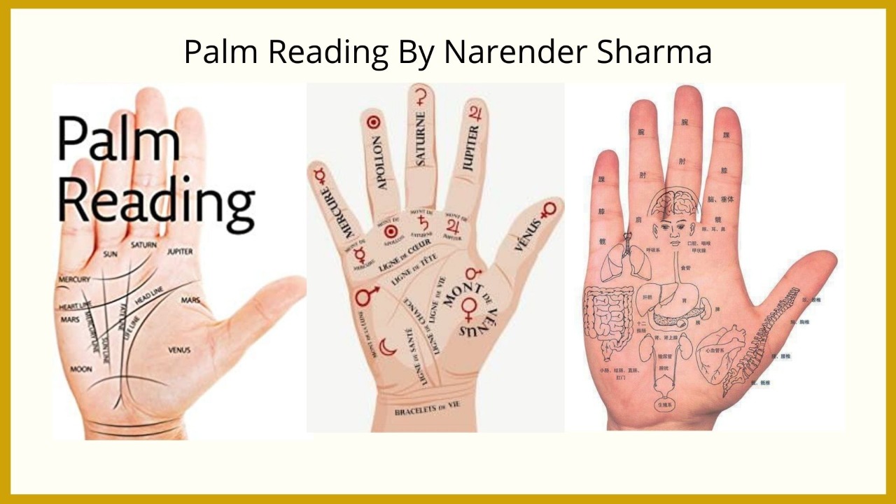The Beginner's Guide to Palmistry — Unpublished